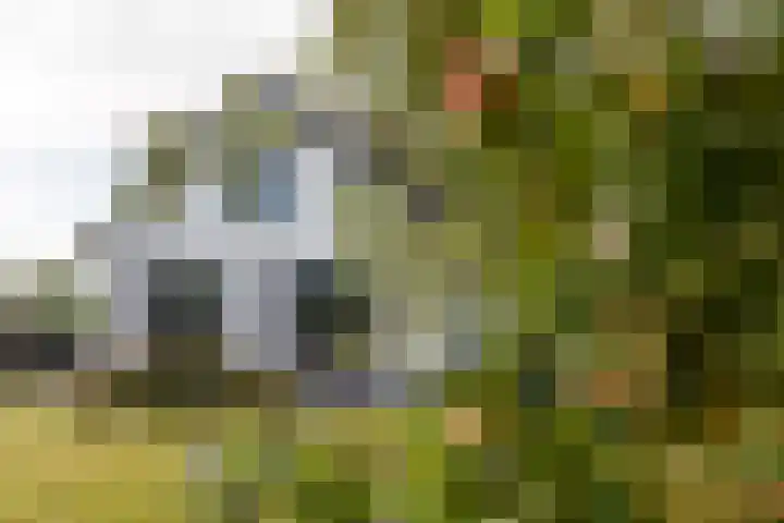 Burgemeester Houtkoperweg 44 Lienden thumbnail 67