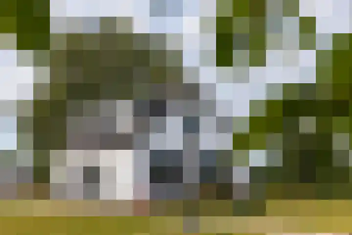 Burgemeester Houtkoperweg 44 Lienden thumbnail 7