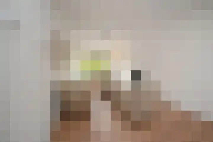Burgemeester Hovylaan 19 Den Haag thumbnail 7
