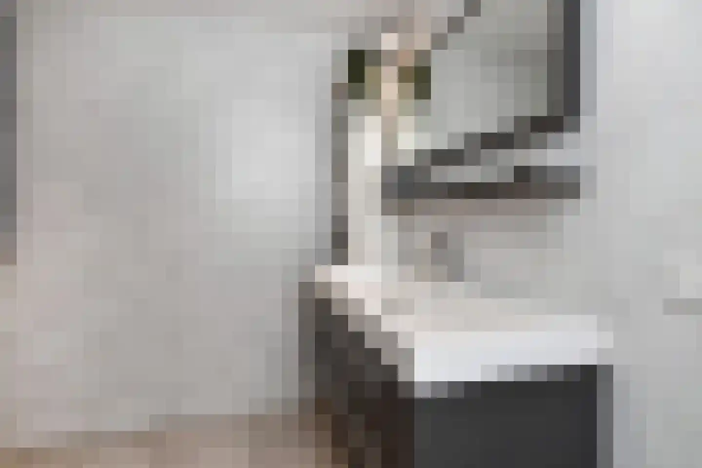 Burgemeester Hovylaan 29 Den Haag thumbnail 25