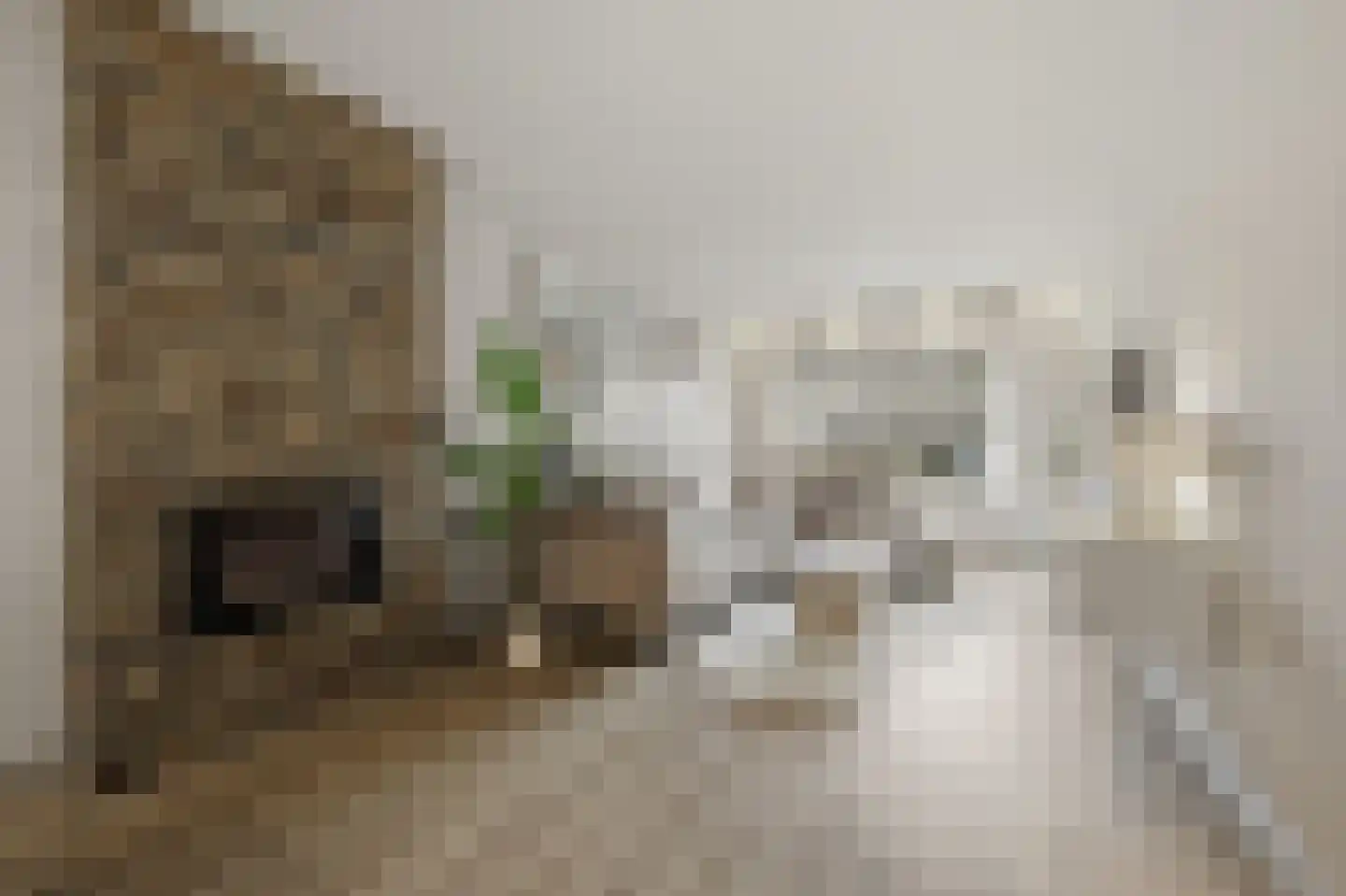 Burgemeester Hovylaan 89 Den Haag thumbnail 8