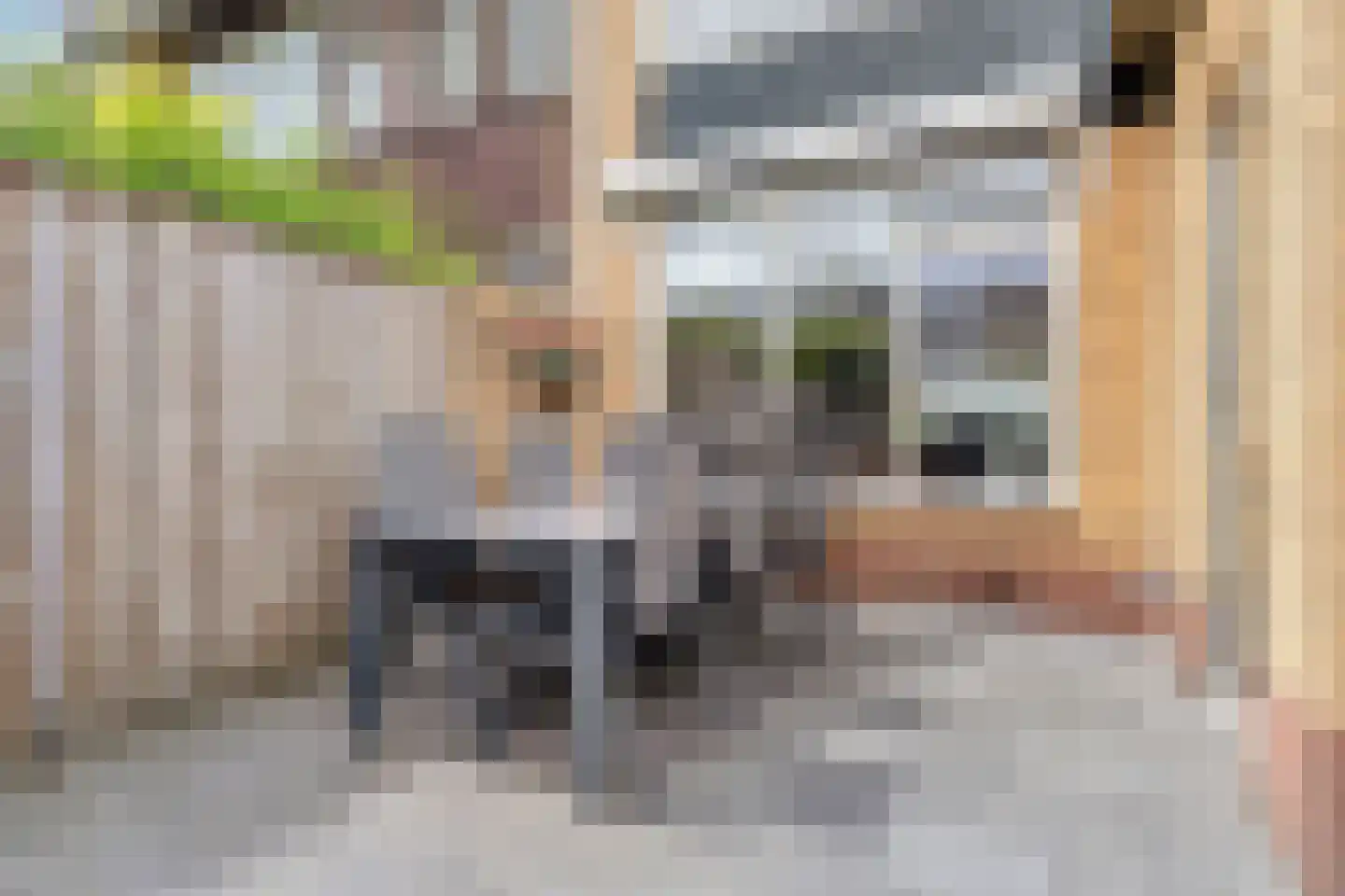 Burgemeester Hoytema van Konijnenburglaan 34 Scherpenzeel thumbnail 24