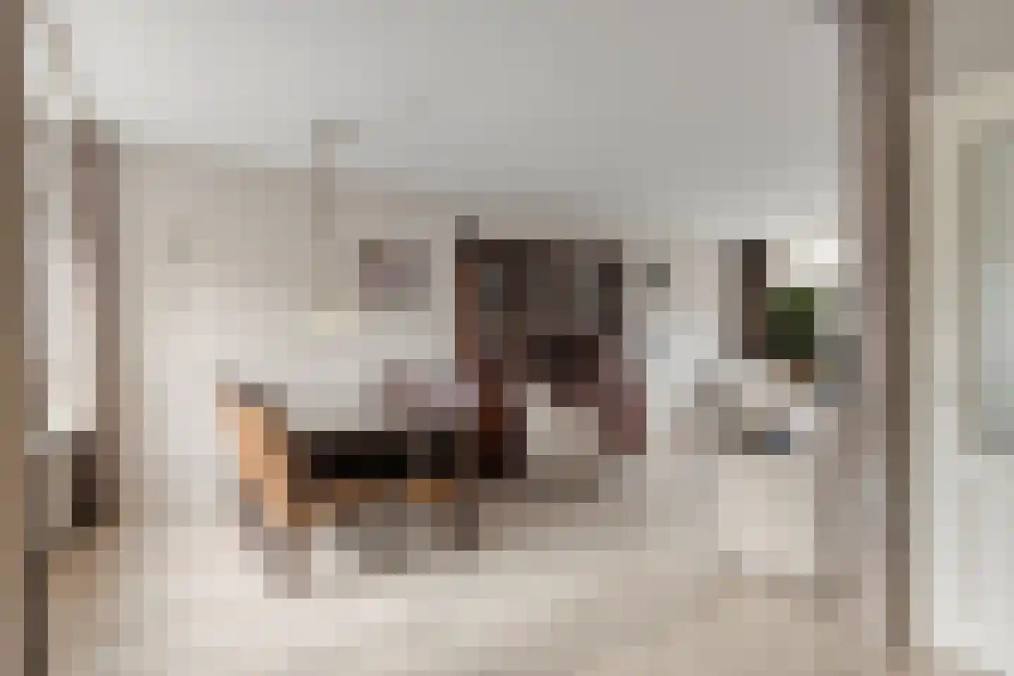 Burgemeester Hoytema van Konijnenburglaan 34 Scherpenzeel thumbnail 6