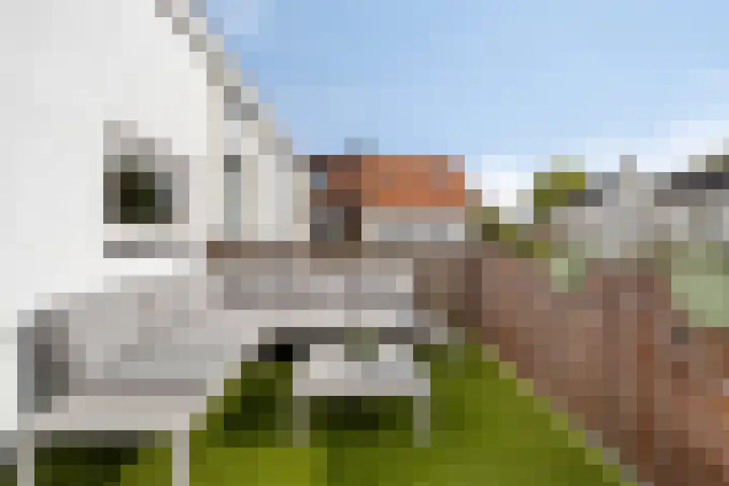 Burgemeester Hulshofstraat 5 Bergen op Zoom thumbnail 6