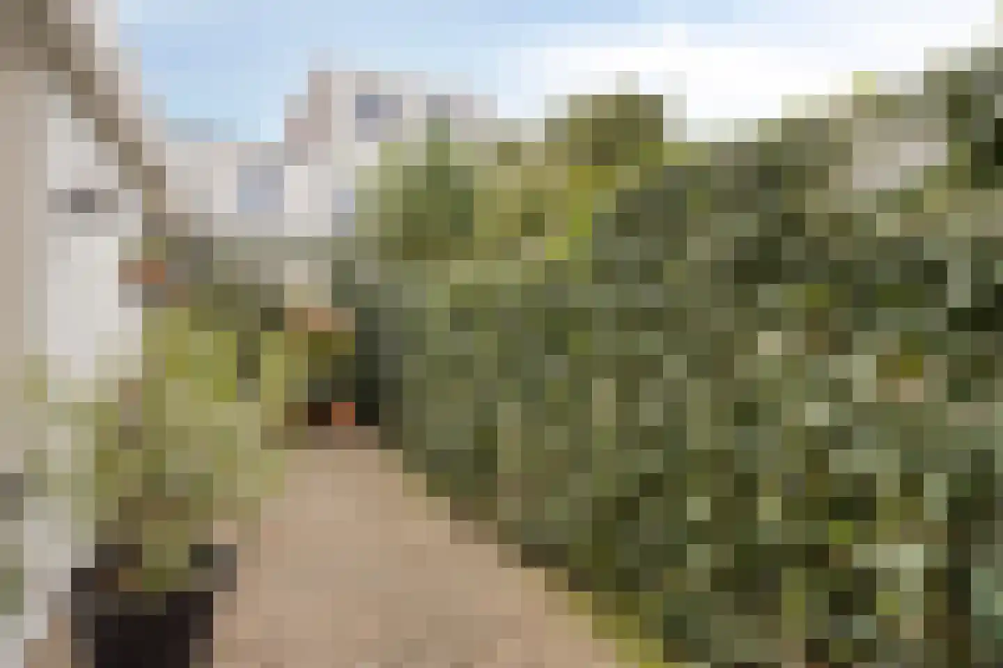 Burgemeester Hulshofstraat 5 Bergen op Zoom thumbnail 8