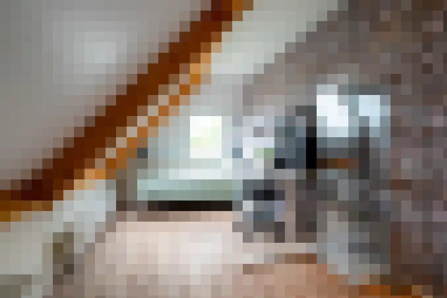 Burgemeester IJ. Wiersumstraat 21 Warfhuizen thumbnail 54