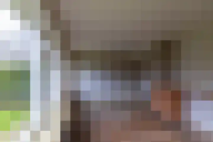 Burgemeester IJ. Wiersumstraat 8 Warfhuizen thumbnail 10