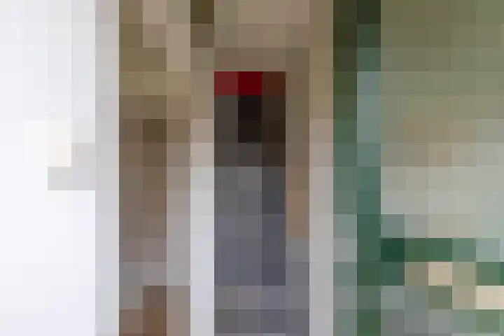 Burgemeester IJ. Wiersumstraat 8 Warfhuizen thumbnail 17