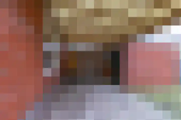 Burgemeester IJ. Wiersumstraat 8 Warfhuizen thumbnail 6