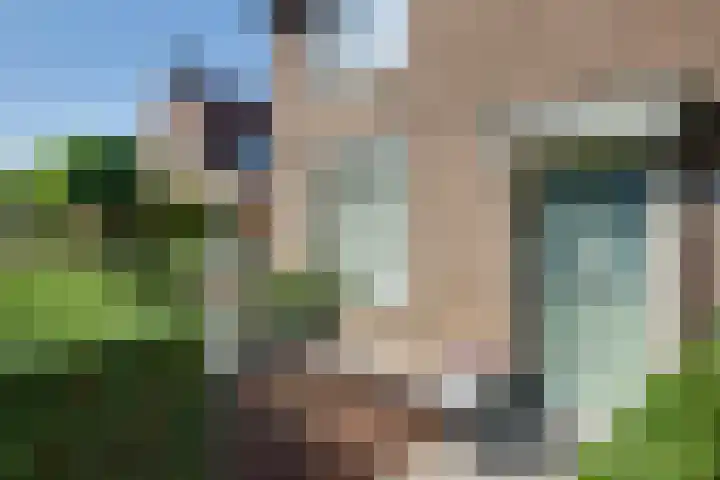 Burgemeester J. Roseboomstraat 36 Hedel thumbnail 4