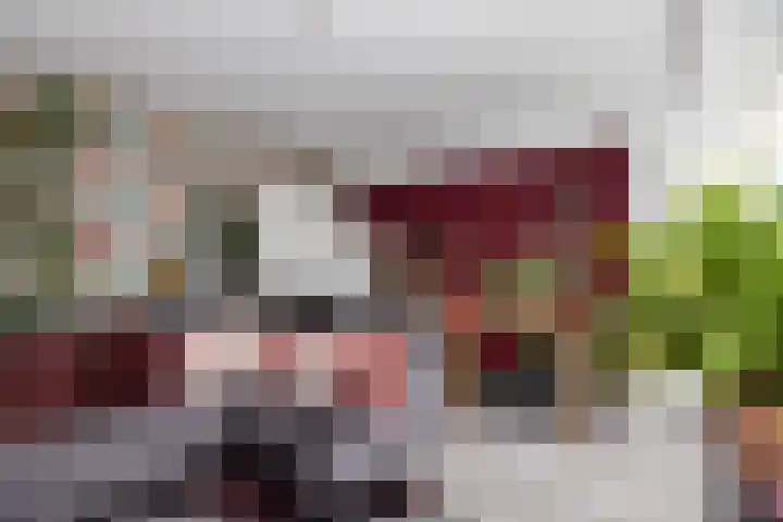 Burgemeester Jansenlaan 187 Zwijndrecht thumbnail 8