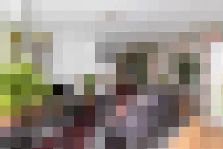 Burgemeester Jansenlaan 187 Zwijndrecht thumbnail 9