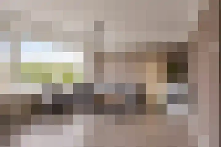 Burgemeester Jansenlaan 241 Zwijndrecht thumbnail 6
