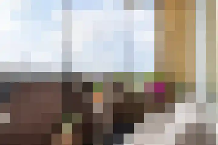 Burgemeester Jansenlaan 81 Zwijndrecht thumbnail 12