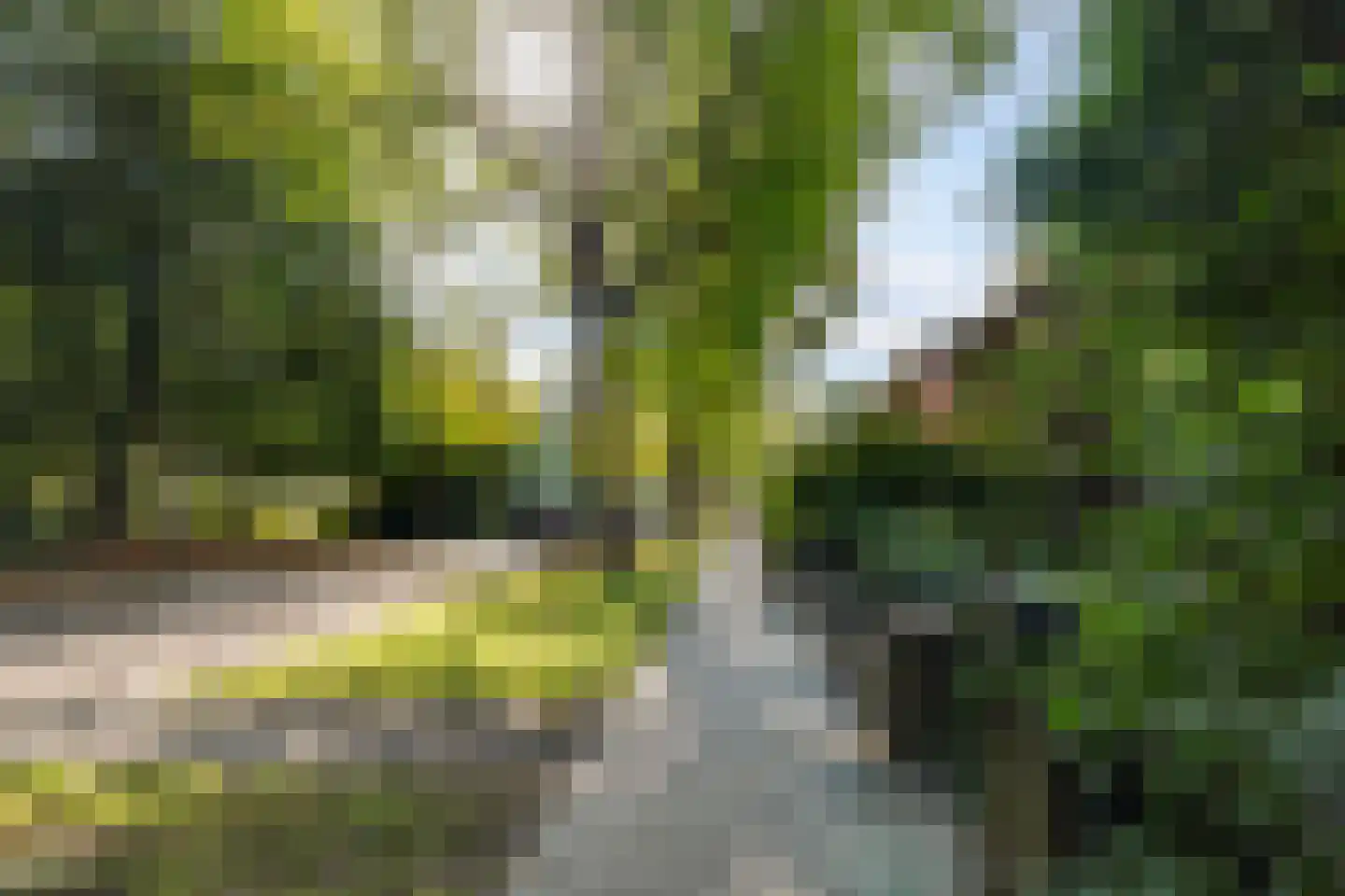 Burgemeester Jansenstraat 25 Tilburg thumbnail 57