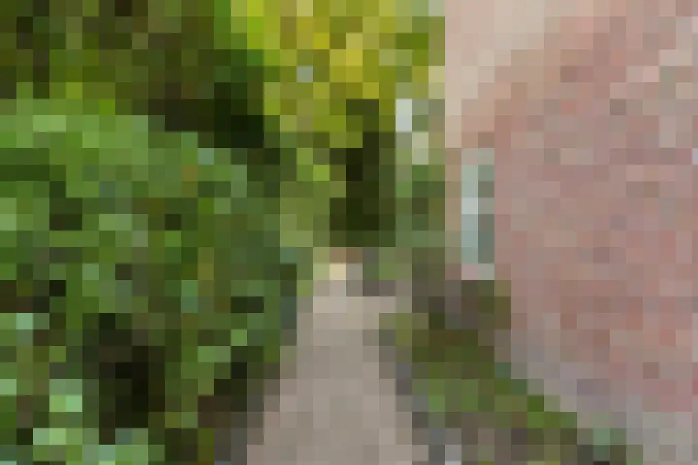 Burgemeester Jansenstraat 25 Tilburg thumbnail 63