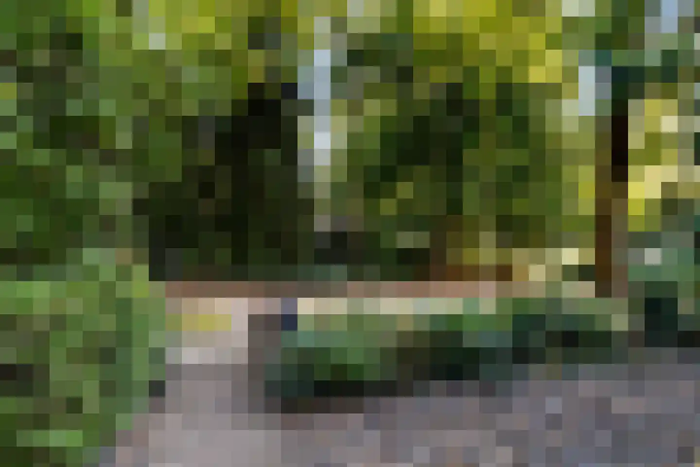Burgemeester Jansenstraat 25 Tilburg thumbnail 67