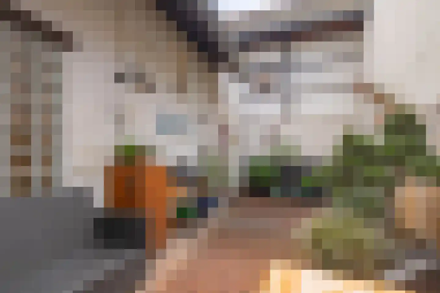 Burgemeester Janssenstraat 56 Beek thumbnail 22