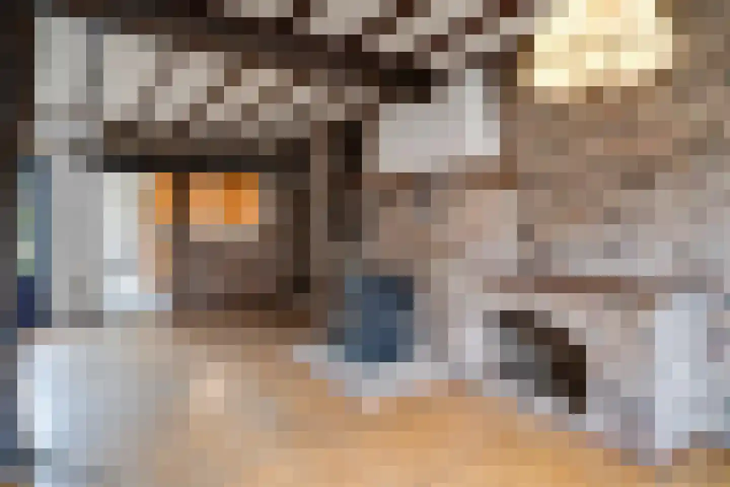 Burgemeester Janssenstraat 7 Beesel thumbnail 15