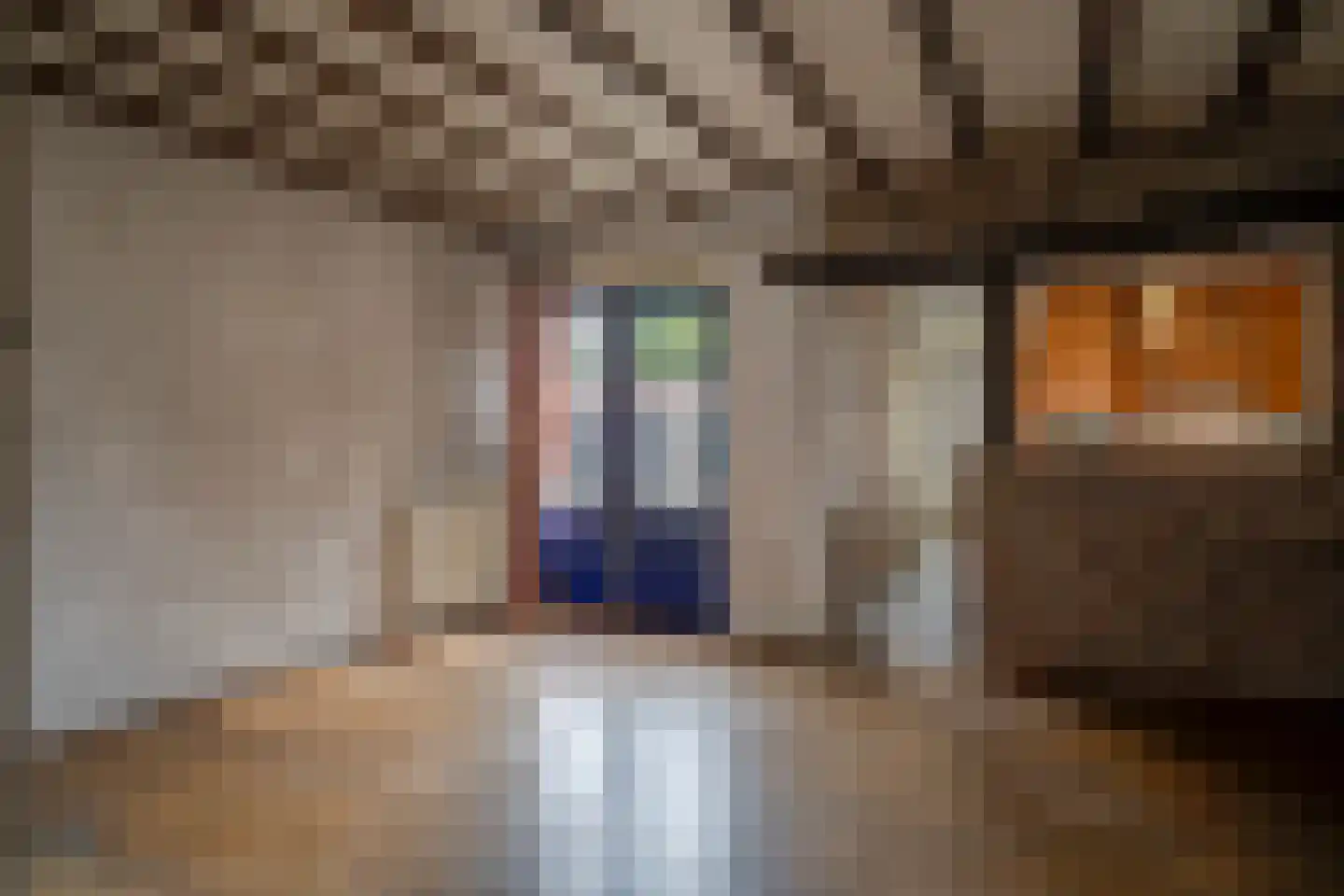 Burgemeester Janssenstraat 7 Beesel thumbnail 17