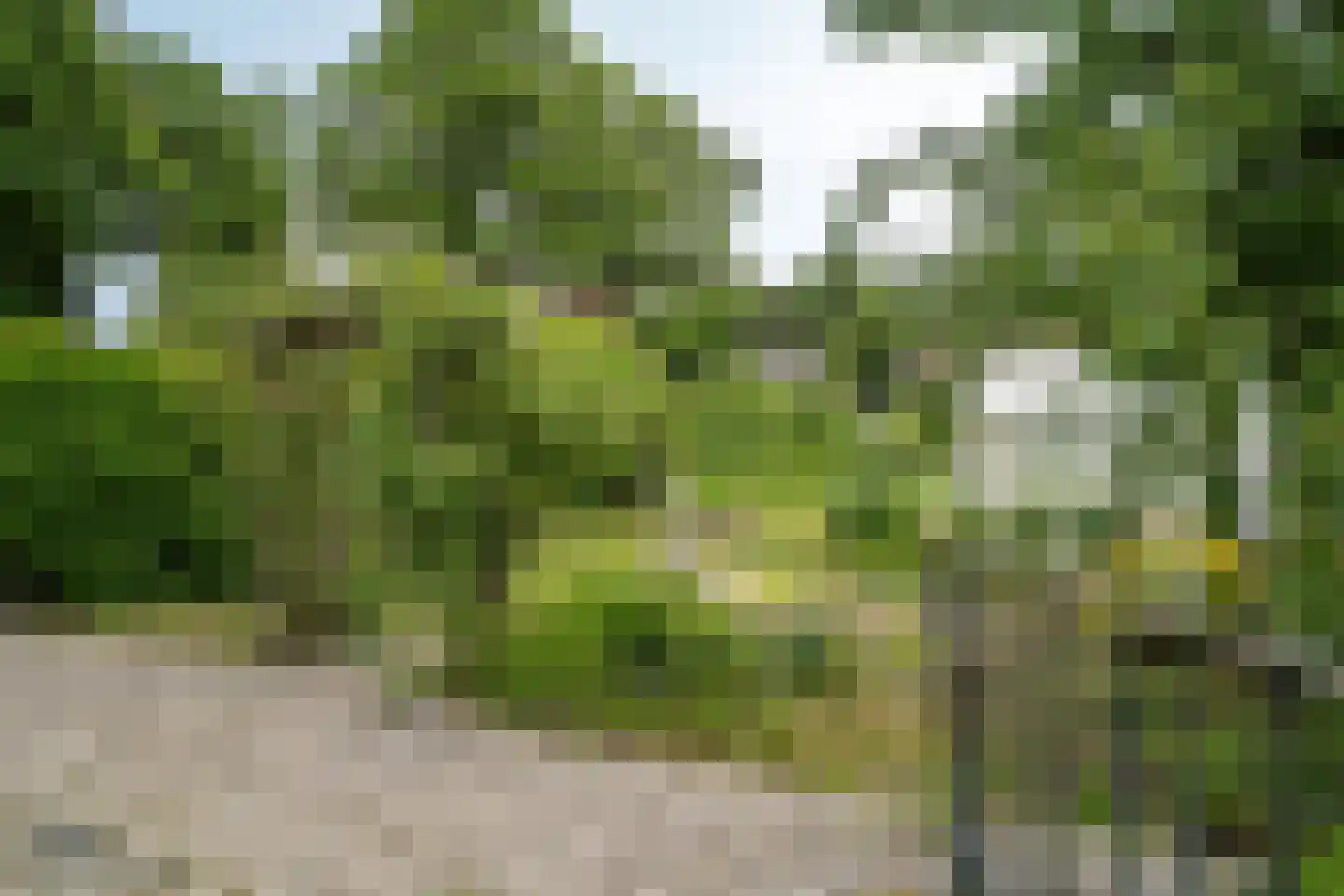 Burgemeester Janssenstraat 7 Beesel thumbnail 32