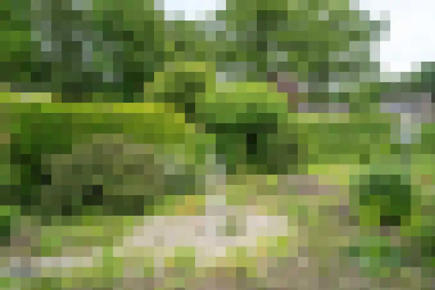 Burgemeester Janssenstraat 7 Beesel thumbnail 35