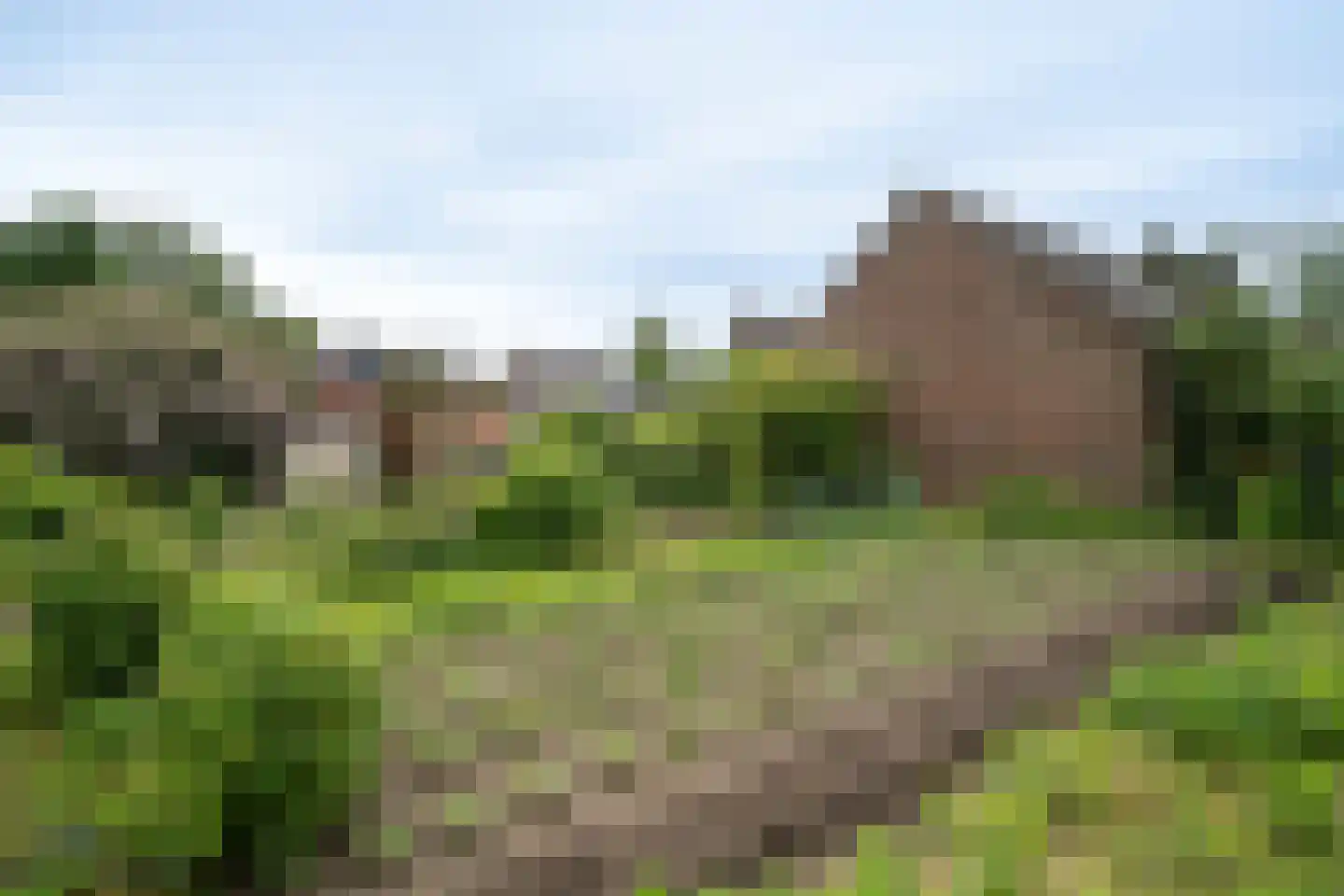 Burgemeester Janssenstraat 7 Beesel thumbnail 37