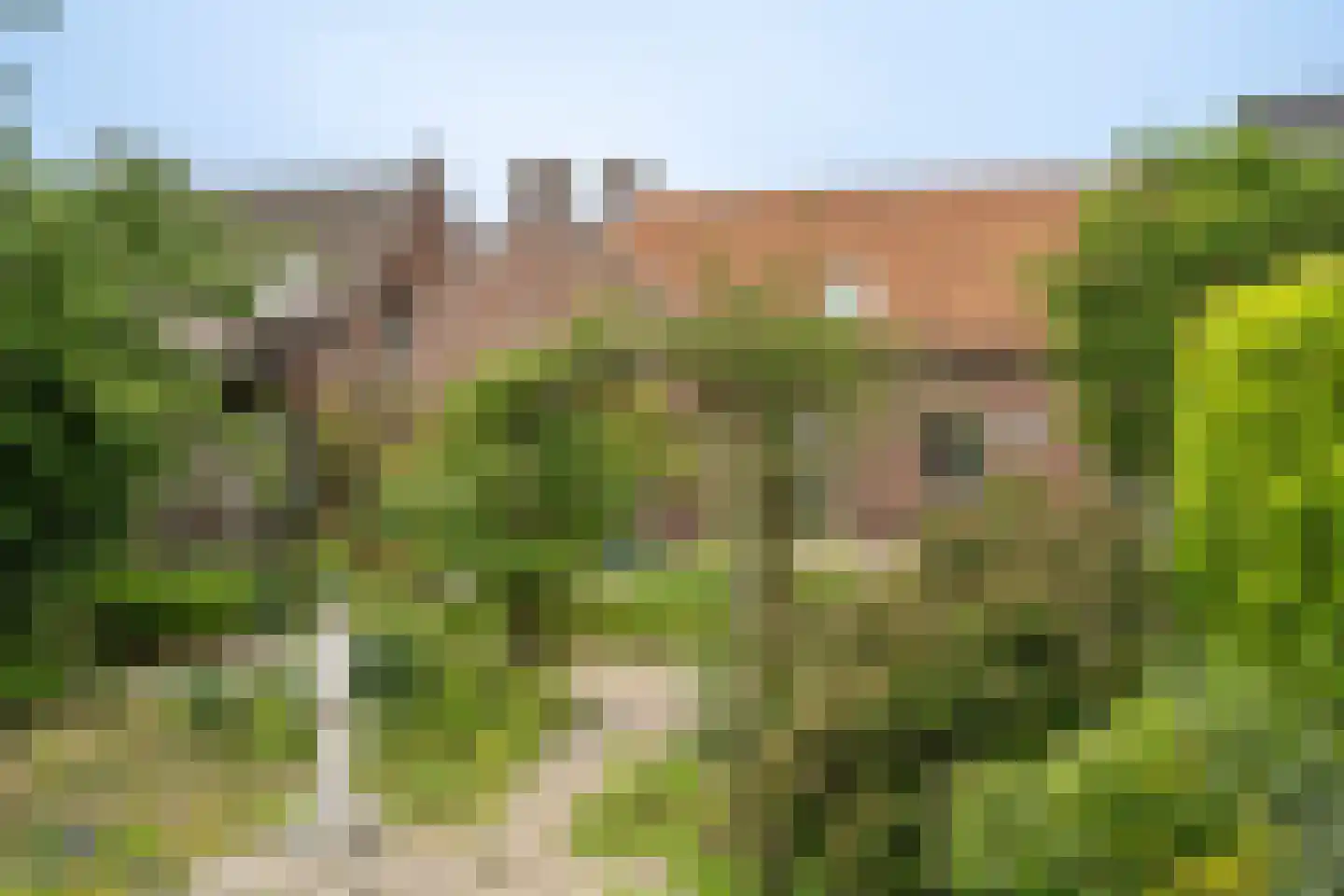 Burgemeester Janssenstraat 7 Beesel thumbnail 44