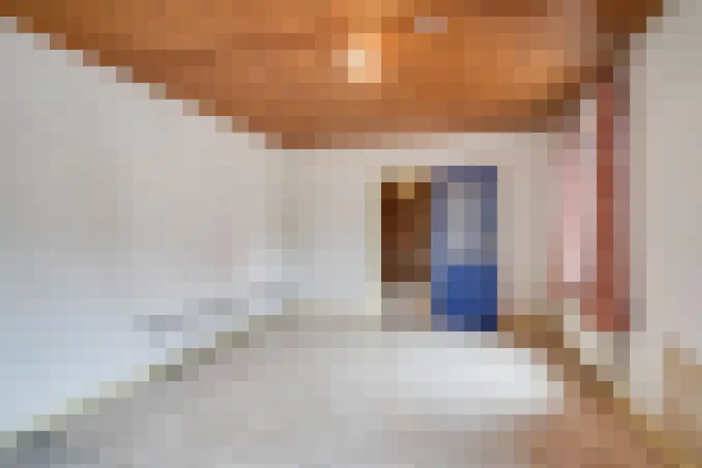 Burgemeester Janssenstraat 7 Beesel thumbnail 9