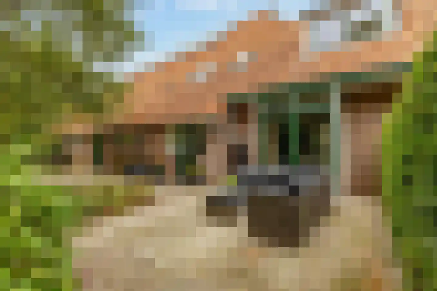 Burgemeester Jansstraat 22 Kerkenveld thumbnail 55