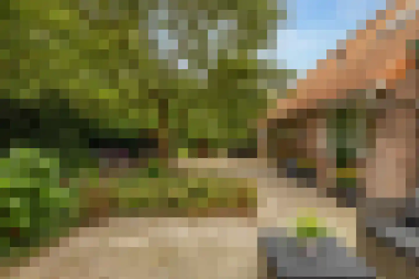 Burgemeester Jansstraat 22 Kerkenveld thumbnail 56
