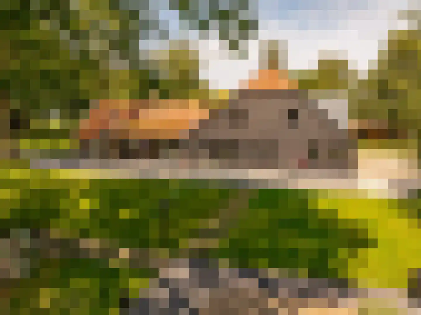 Burgemeester Jansstraat 23 a Kerkenveld thumbnail 64
