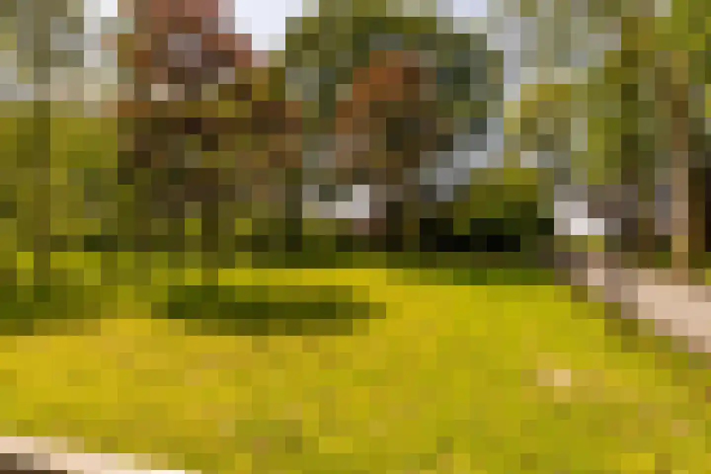 Burgemeester Jansstraat 23 a Kerkenveld thumbnail 69