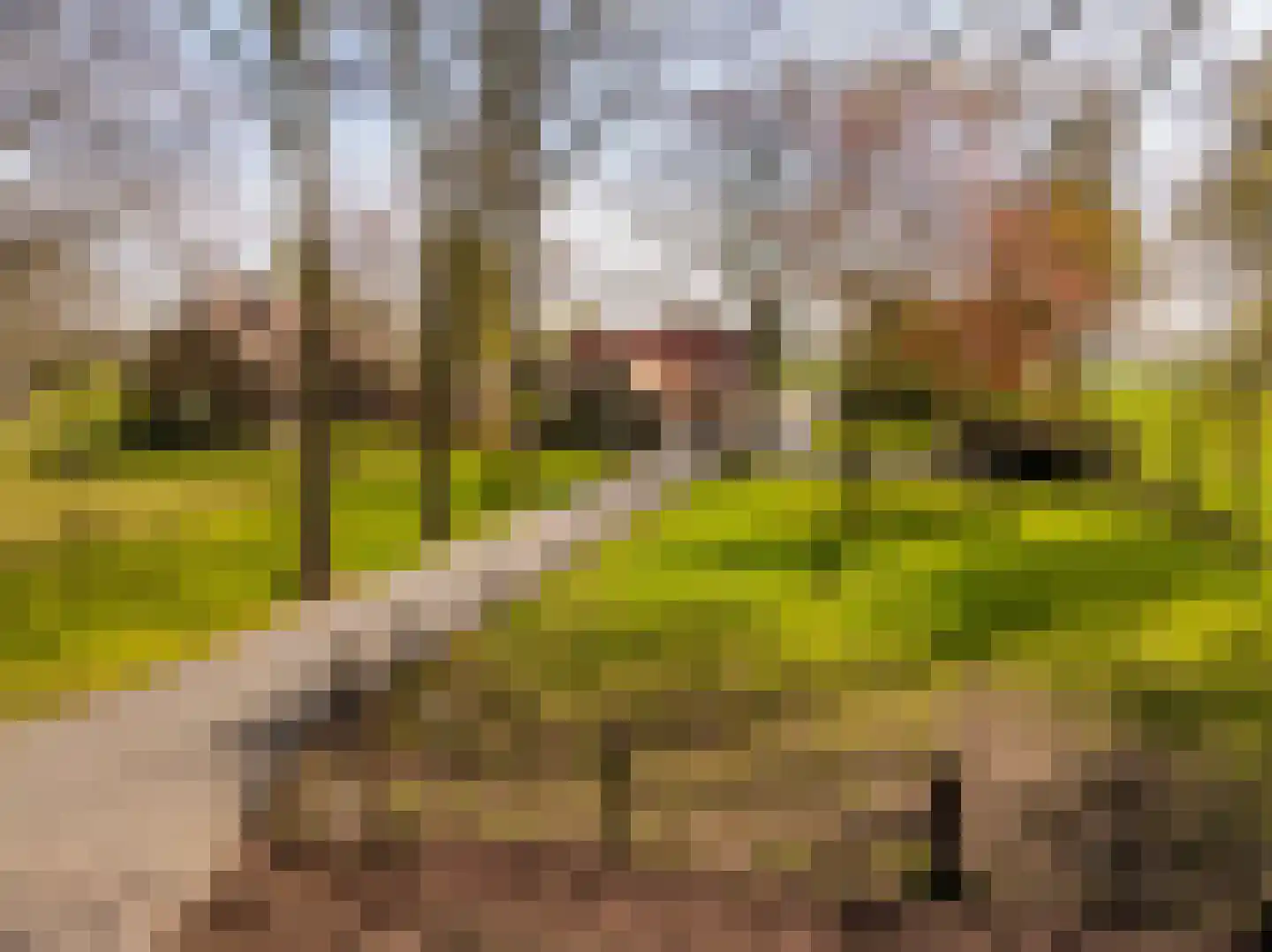 Burgemeester Jansstraat 23 a Kerkenveld thumbnail 7