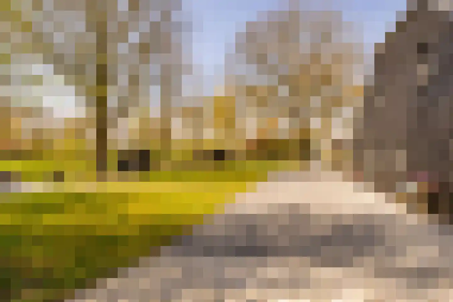 Burgemeester Jansstraat 23 a Kerkenveld thumbnail 80