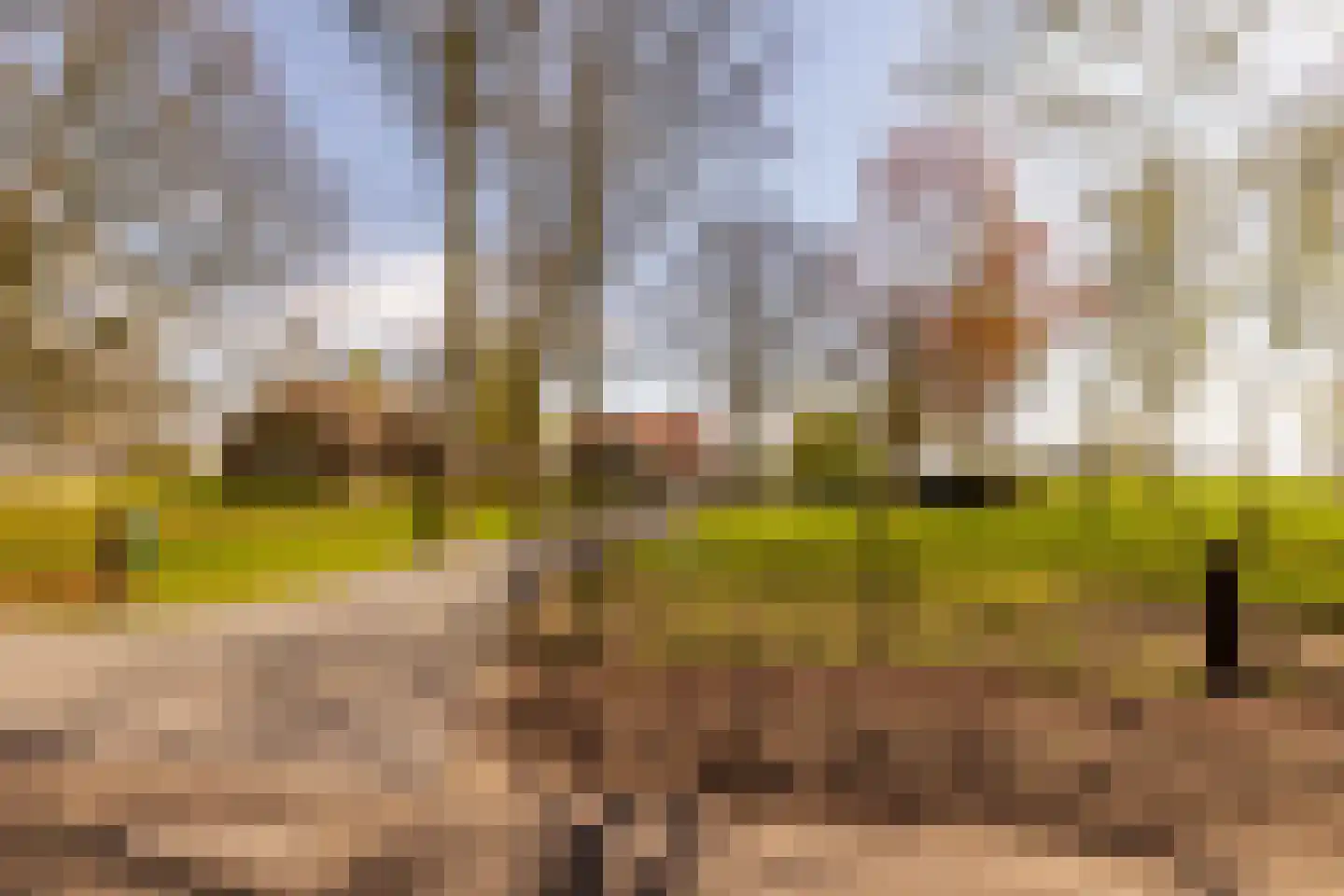 Burgemeester Jansstraat 23 a Kerkenveld thumbnail 90