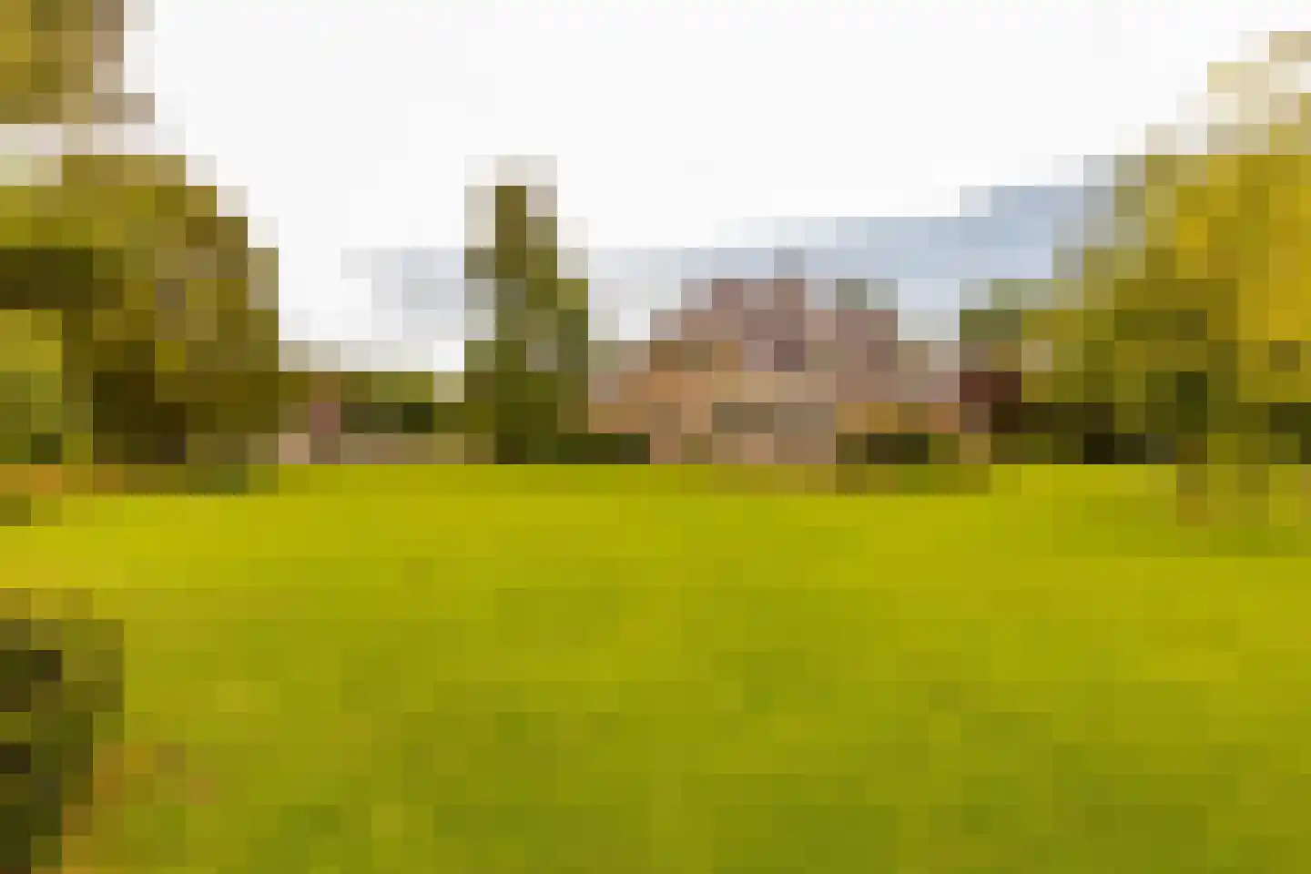 Burgemeester Jansstraat 3 Kerkenveld thumbnail 100