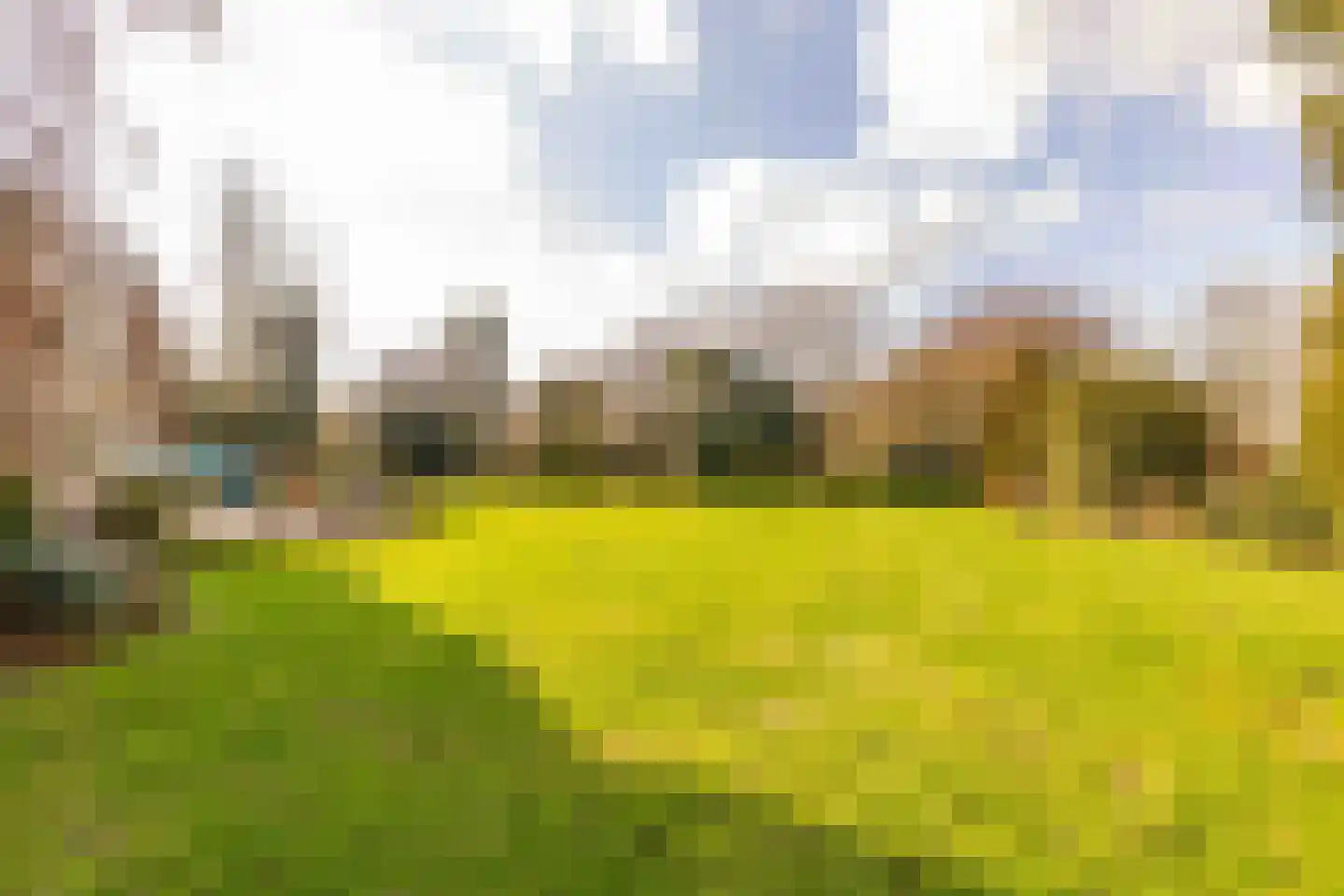 Burgemeester Jansstraat 3 Kerkenveld thumbnail 100