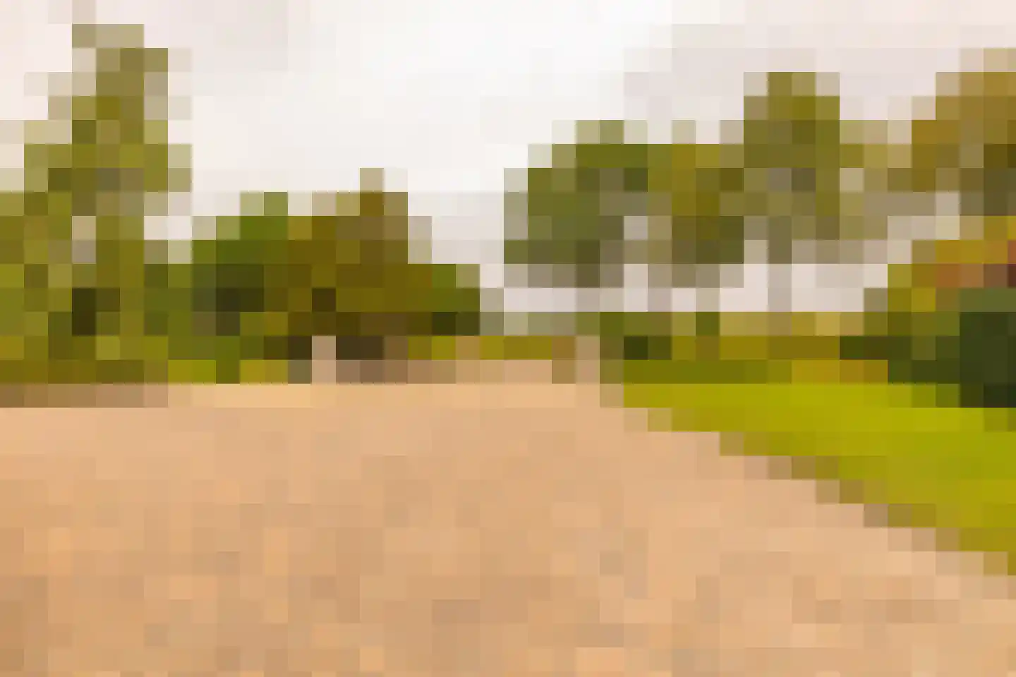 Burgemeester Jansstraat 3 Kerkenveld thumbnail 101