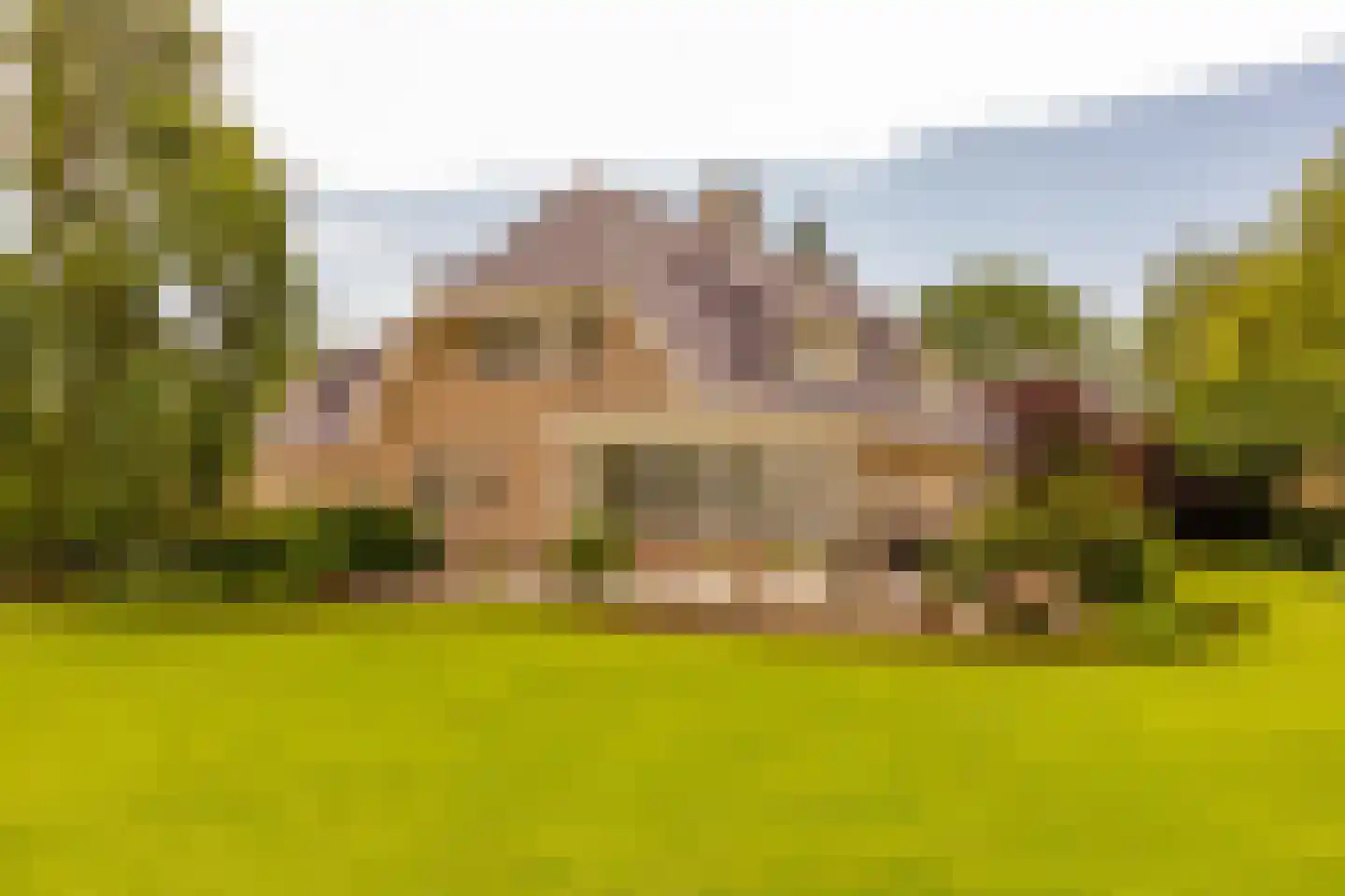 Burgemeester Jansstraat 3 Kerkenveld thumbnail 104