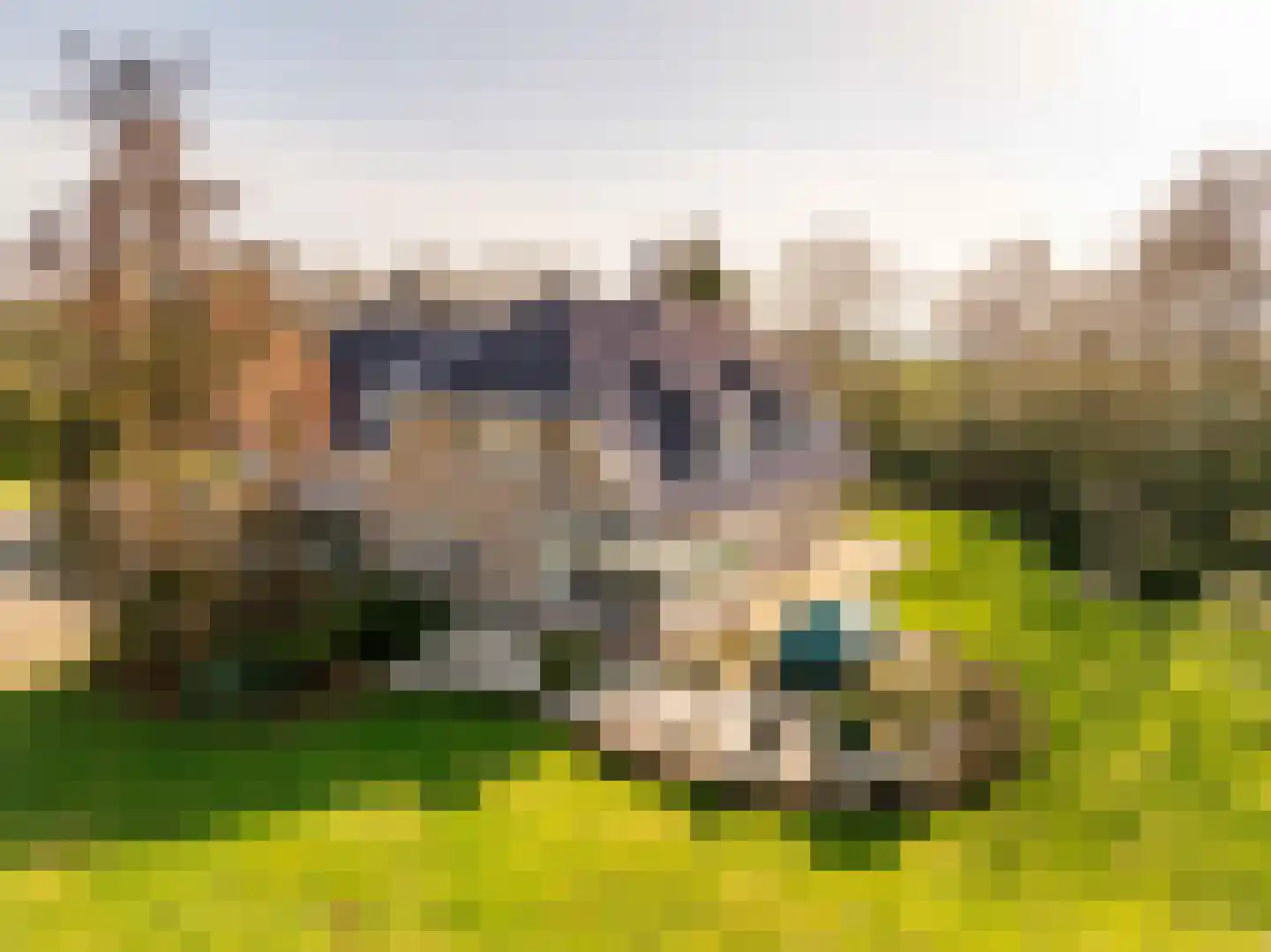 Burgemeester Jansstraat 3 Kerkenveld thumbnail 107