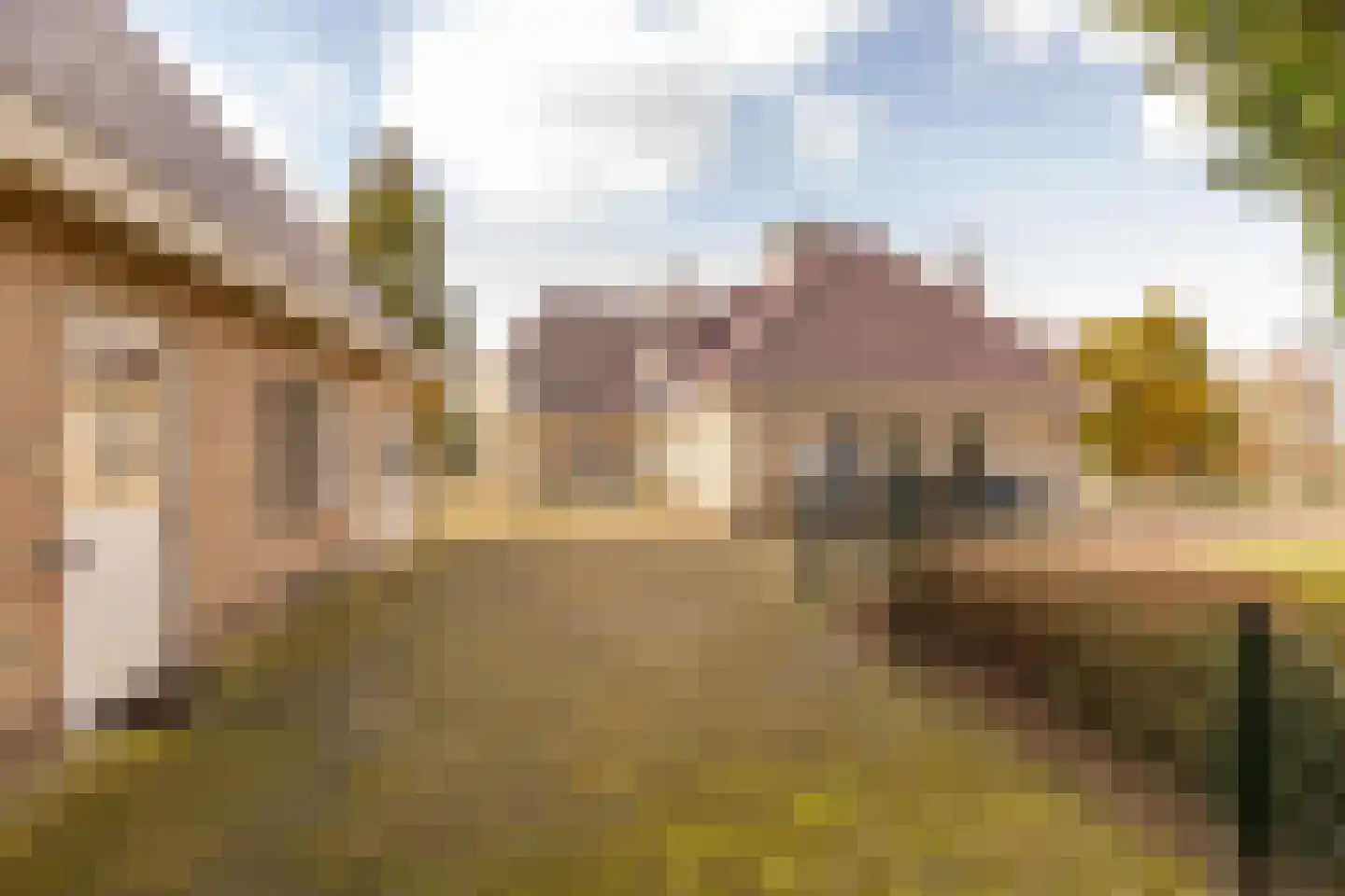Burgemeester Jansstraat 3 Kerkenveld thumbnail 76