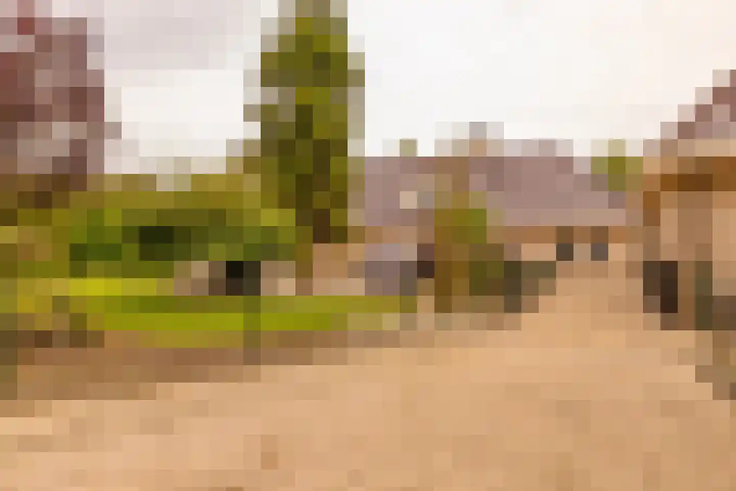 Burgemeester Jansstraat 3 Kerkenveld thumbnail 88
