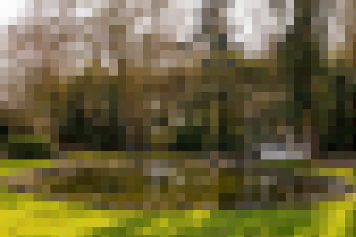 Burgemeester Jansstraat 3 Kerkenveld thumbnail 95