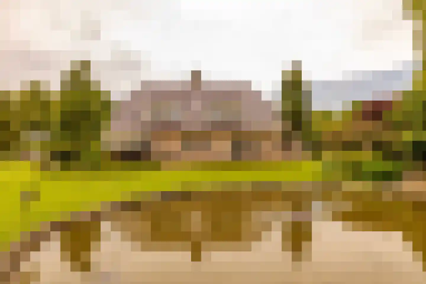 Burgemeester Jansstraat 3 Kerkenveld thumbnail 95
