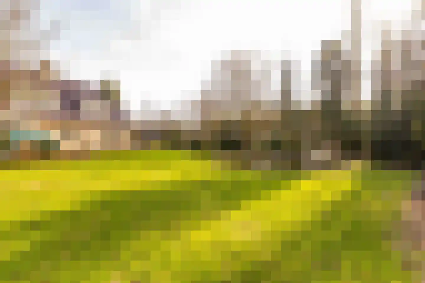 Burgemeester Jansstraat 3 Kerkenveld thumbnail 98