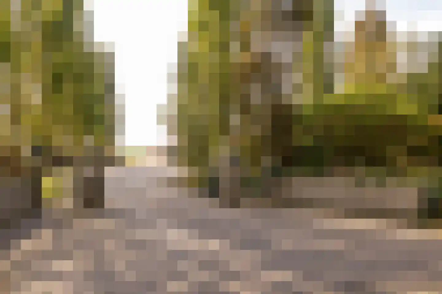 Burgemeester Jansstraat 33 Linde thumbnail 6