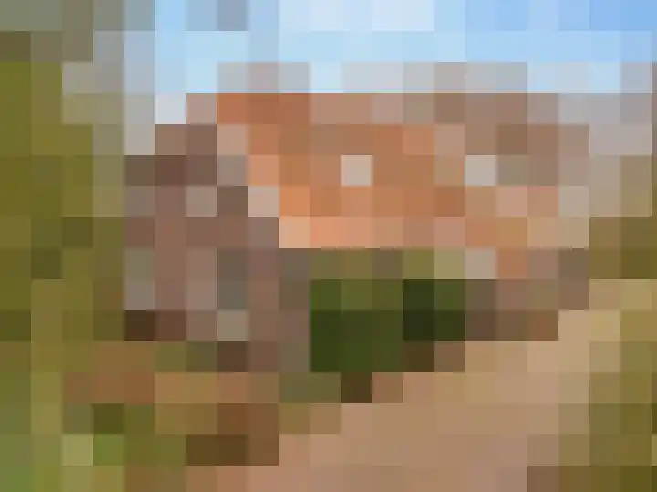 Burgemeester Jansstraat 45 Linde thumbnail 53