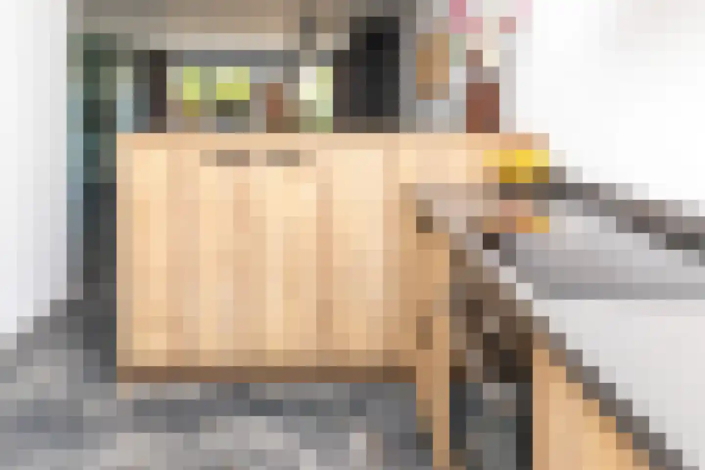 Burgemeester Jhr G A van Nispenstraat 10 Kesteren thumbnail 17