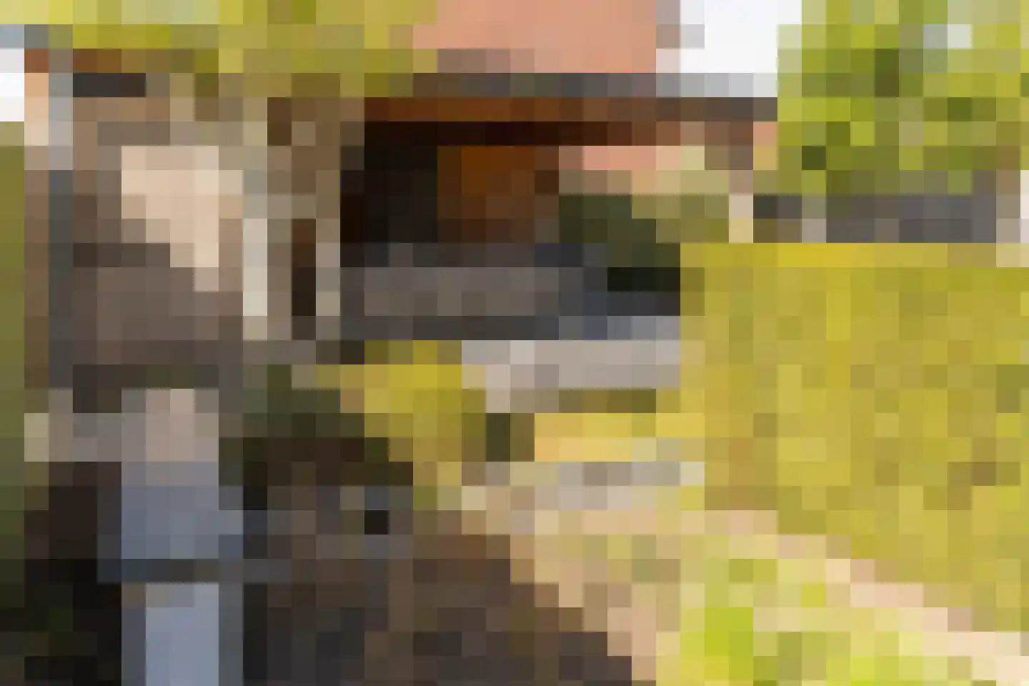 Burgemeester Jhr G A van Nispenstraat 10 Kesteren thumbnail 40